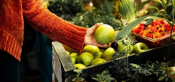 Picture Of Canadian Money